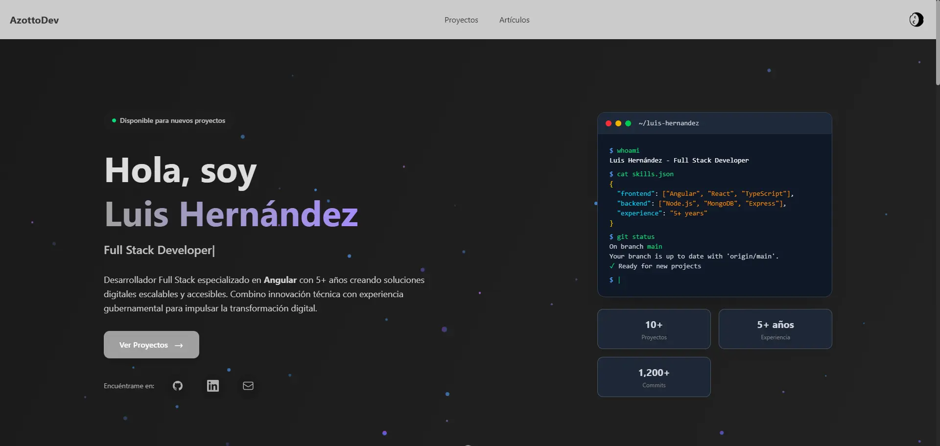 Tema oscuro del portfolio